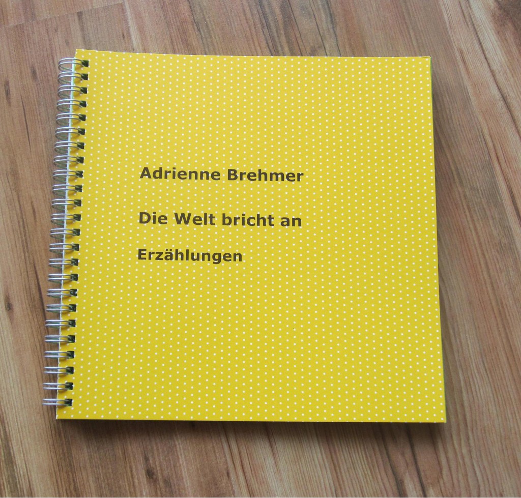 Adrienne Brehmer - Die Welt bricht an