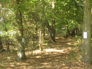 Lyrischer Spaziergang