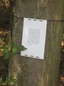 Lyrischer Spaziergang