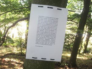 Lyrischer Spaziergang